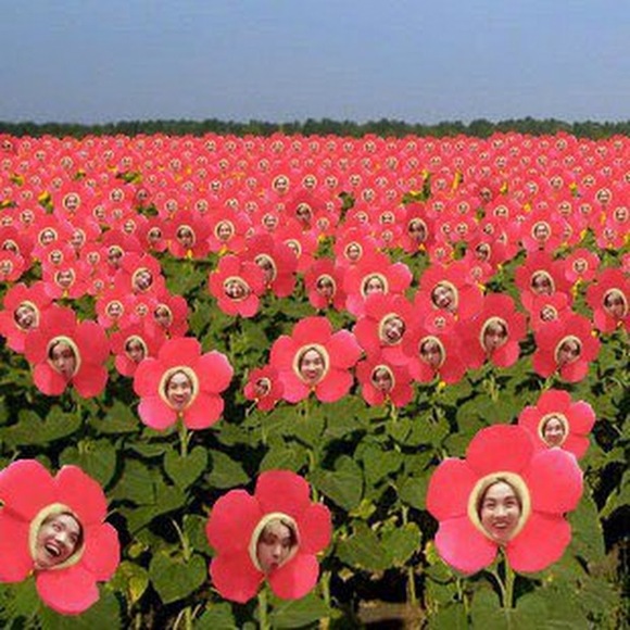 Meet your Posher, S u n - Picture 1 of 1